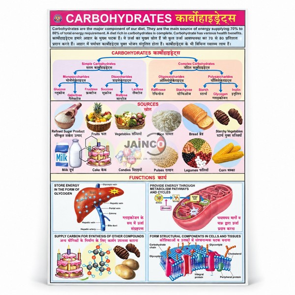 Carbohydrates Chart